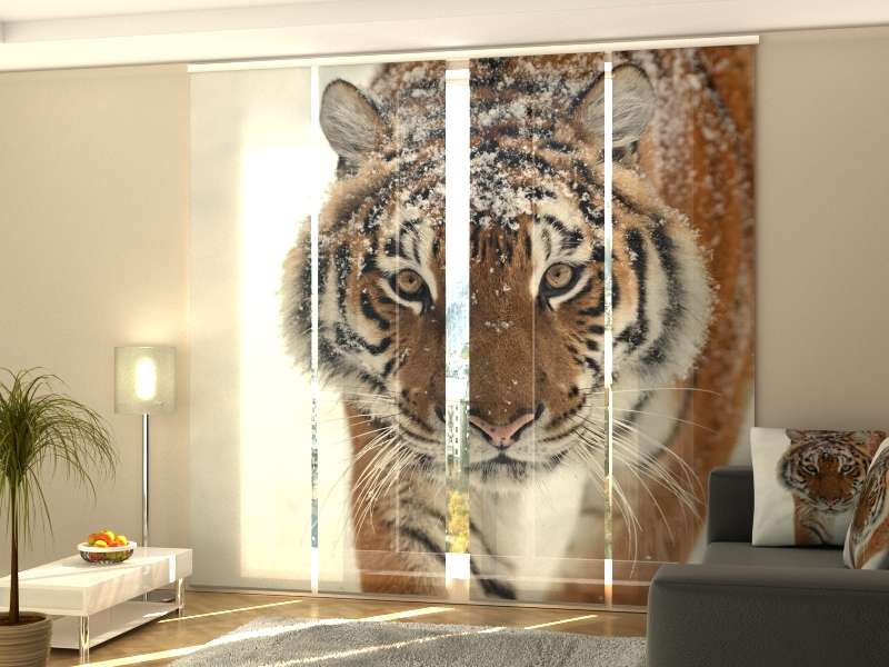 Fotovorhang mit Motiv Gardine auf Maß Foto-Schiebegardine sibirischer Tiger 
