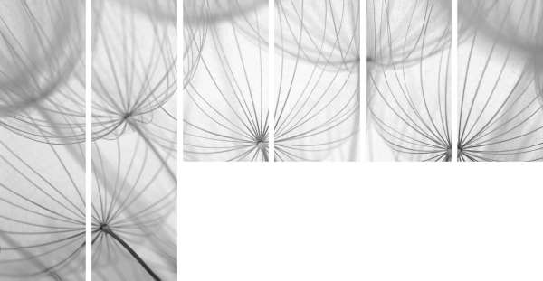 Schiebegardine "PUSTEBLUME GRAU" / 2 Paneele 200x60 cm + 4 Paneele 115x60 cm