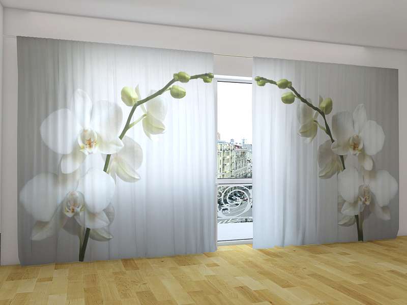 Vorhang Mit Druckmotiv Orchidee Im Wasser Www Clever Kauf 24 De